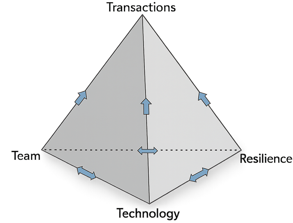Information Technology Triangle Rul Team, Technology, Resilience, Transactions.